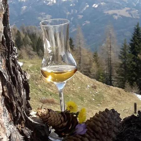 Bergfriedhuette Trebesing
